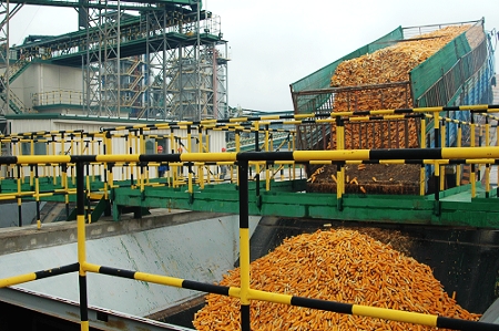 敦煌種業(yè)先鋒良種有限公司酒泉種子加工廠三、四期工程竣工投產(chǎn)