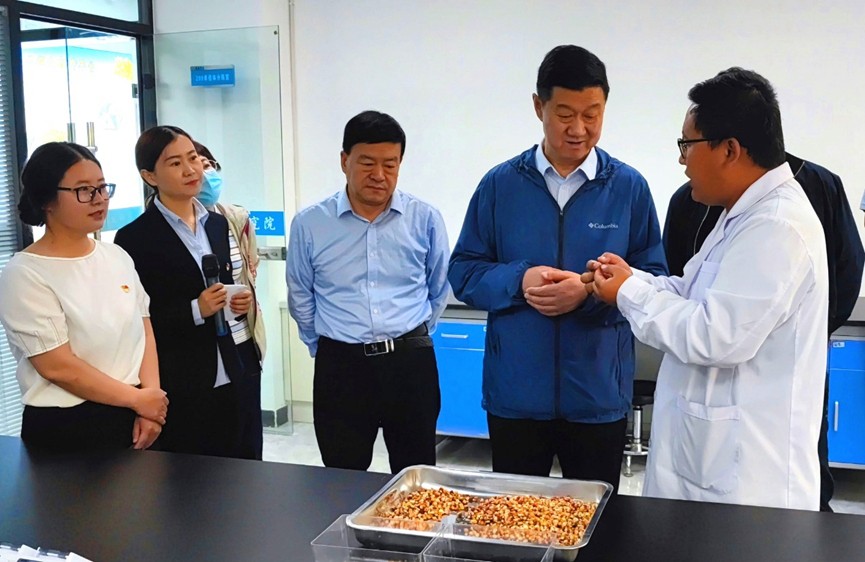 甘肅省地方金融監(jiān)管局、甘肅證監(jiān)局領(lǐng)導(dǎo)蒞臨敦煌種業(yè)調(diào)研指導(dǎo)