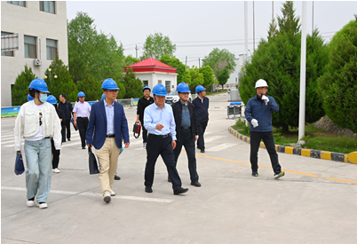 甘肅省市場監(jiān)管局質量發(fā)展局調(diào)研組到敦煌種業(yè)調(diào)研